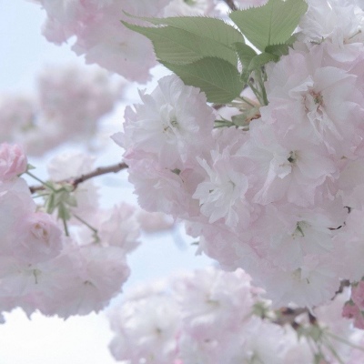 兽设城市场景创作Furry群